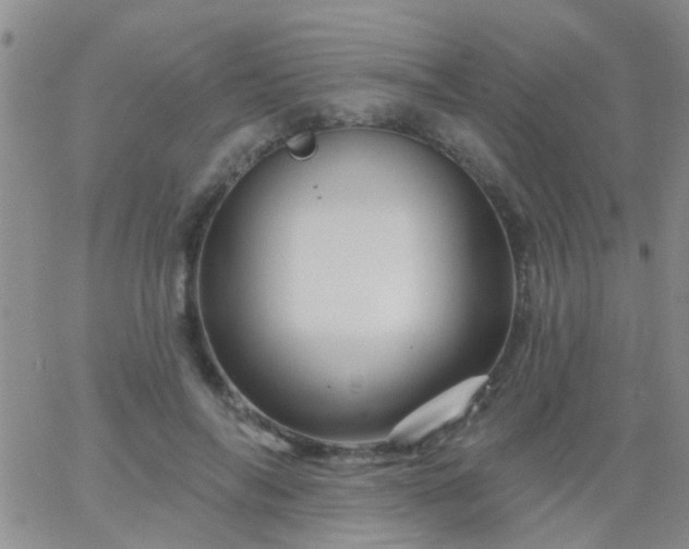 X0000066120694200603171754