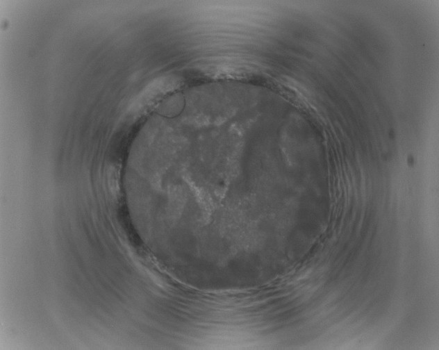 X0000066120695200603171754