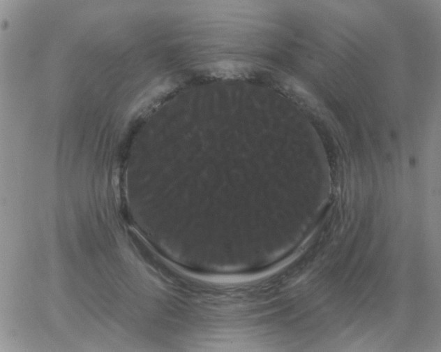 X0000066120696200603171754