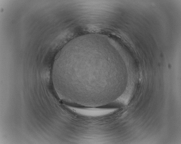 X0000066120697200603171754