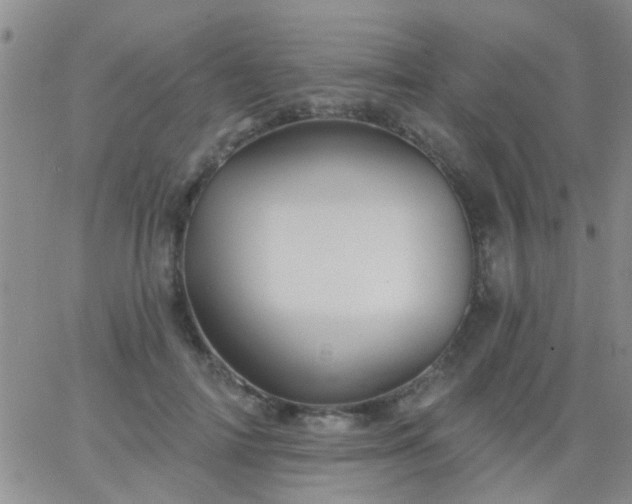 X0000066120698200603171754