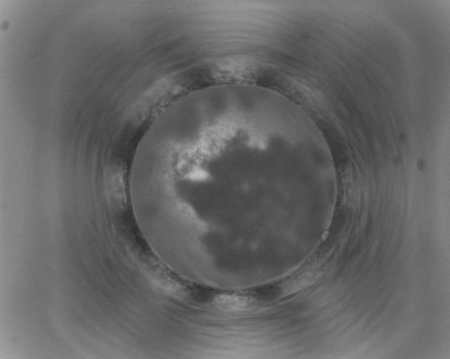 X0000066120699200603171754