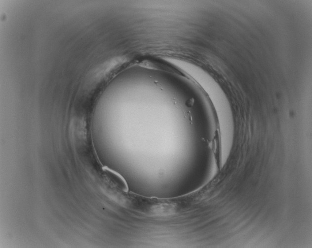 X0000066120700200603171754