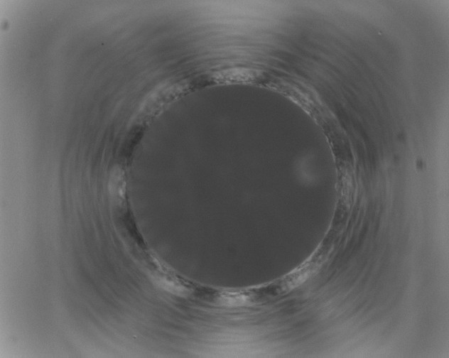 X0000066120701200603171754