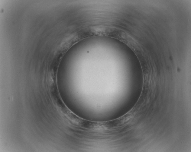 X0000066120702200603171754