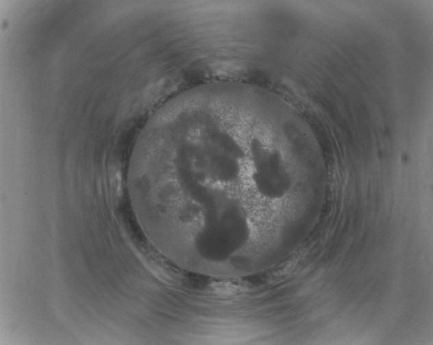 X0000066120703200603171754