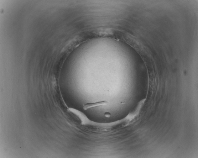 X0000066120704200603171754