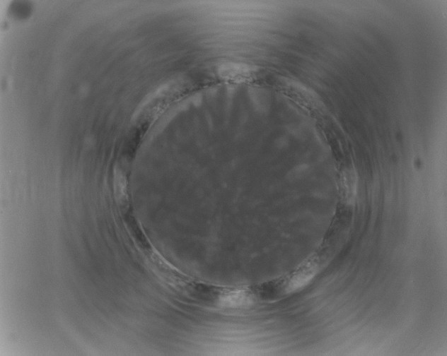 X0000066120705200603171754