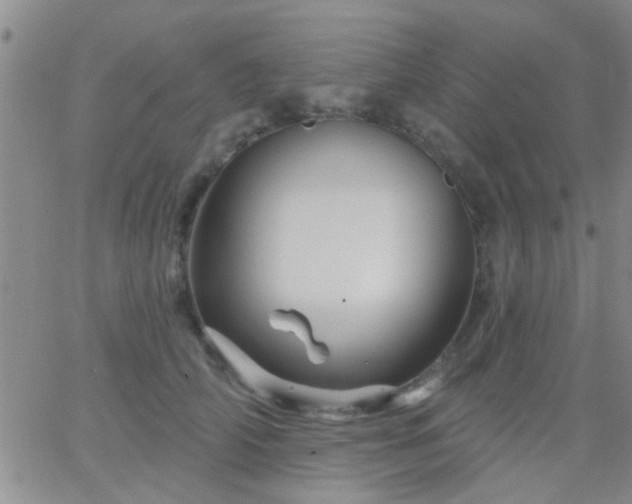 X0000066120706200603171754