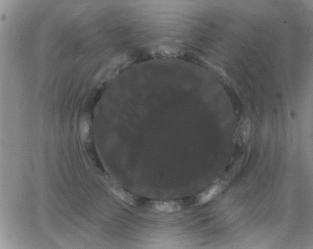 X0000066120709200603171754