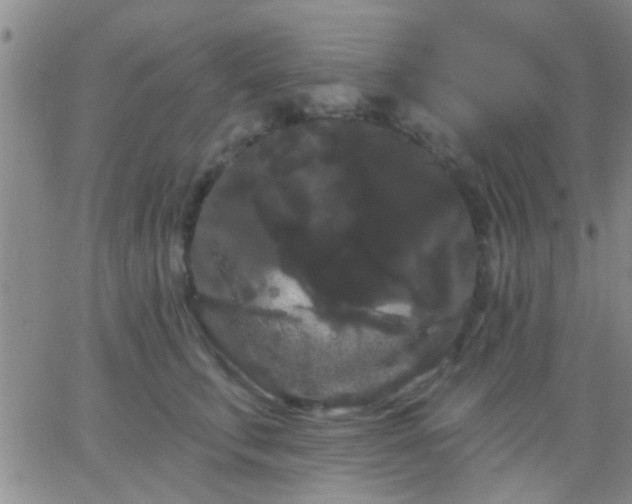 X0000066120711200603171754