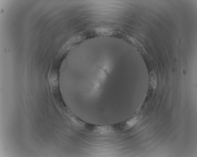 X0000066120713200603171754