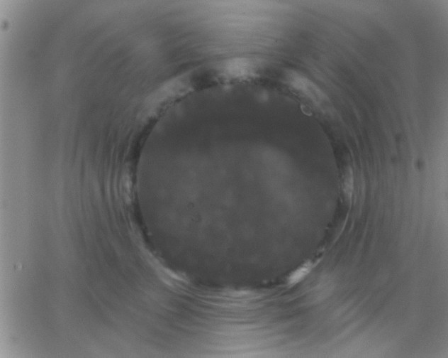 X0000066120715200603171754