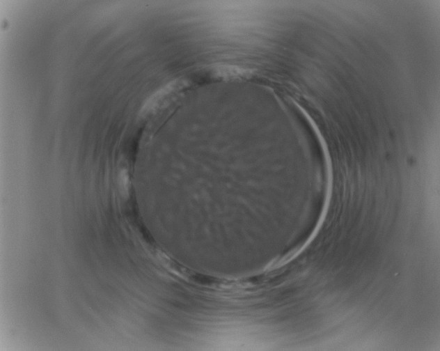 X0000066120716200603171754