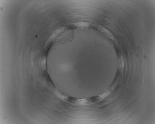 X0000066120717200603171754