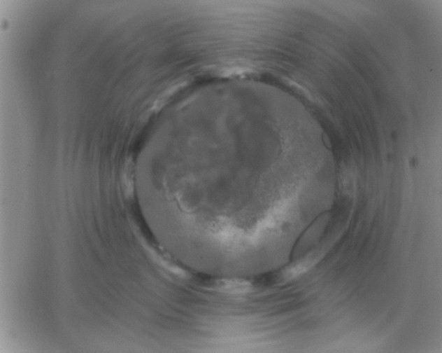 X0000066120719200603171754