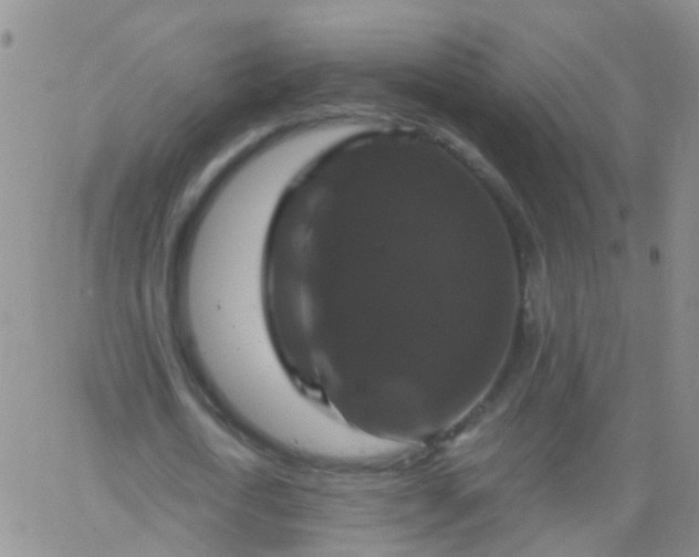 X0000066120722200603171753