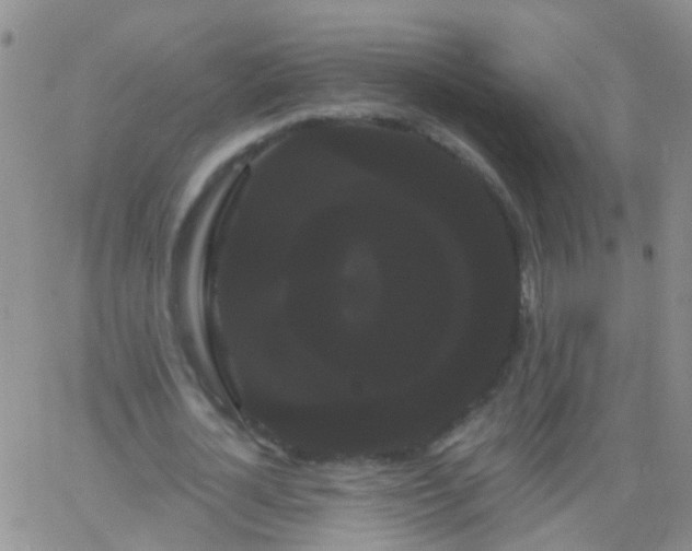 X0000066120724200603171753