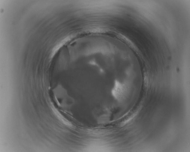 X0000066120725200603171753