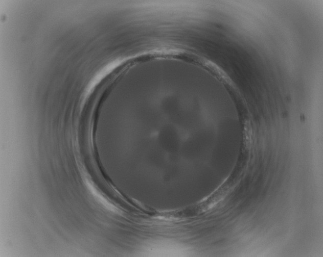 X0000066120726200603171753