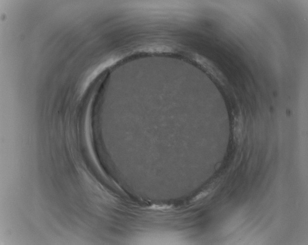 X0000066120727200603171753