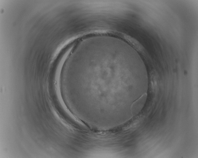 X0000066120728200603171753