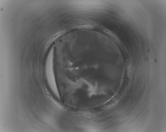 X0000066120729200603171753