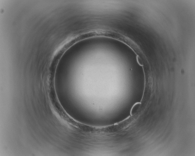 X0000066120730200603171753