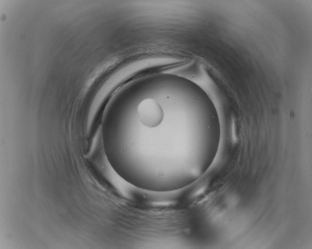 X0000066120731200603171753