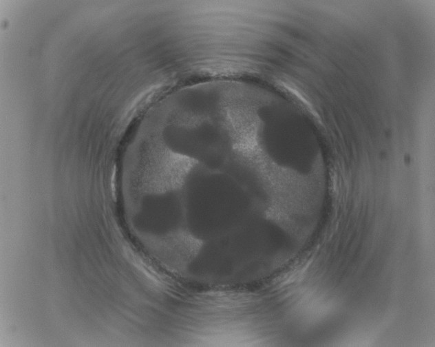 X0000066120733200603171753