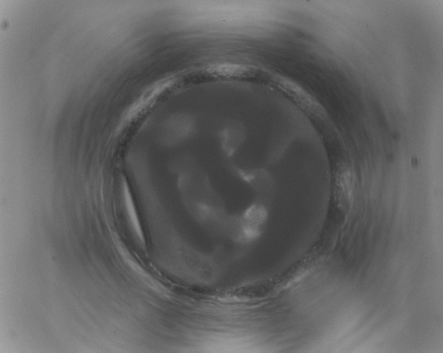 X0000066120734200603171753