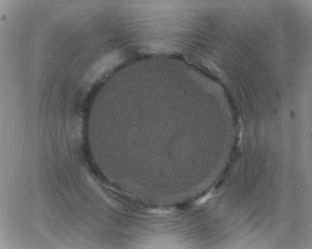 X0000066120735200603171753