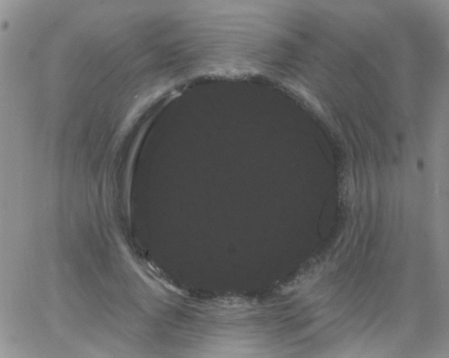 X0000066120736200603171753