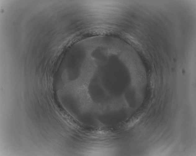 X0000066120737200603171753