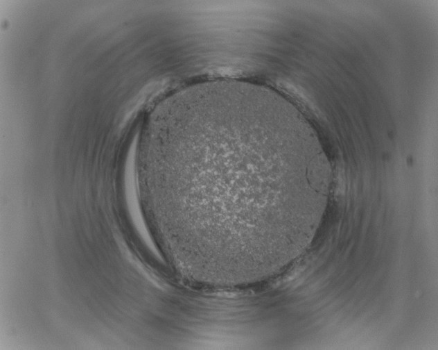 X0000066120738200603171753