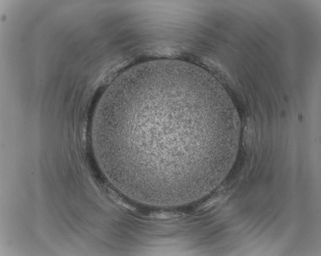 X0000066120739200603171753