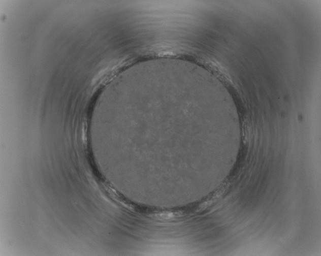 X0000066120740200603171753