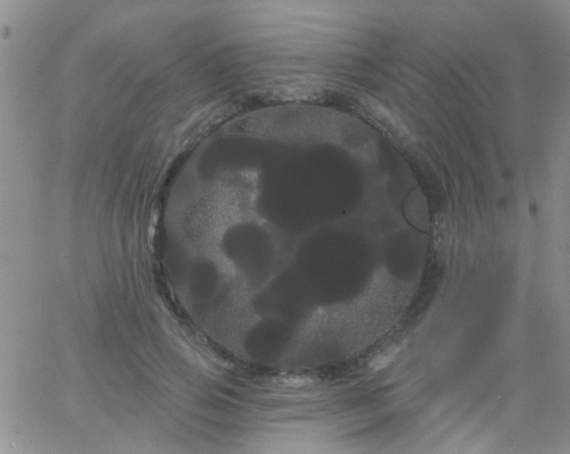 X0000066120741200603171753