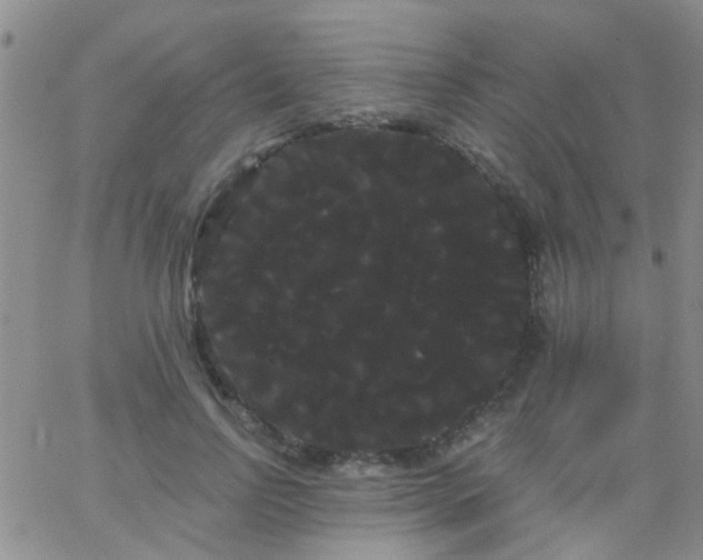 X0000066120742200603171753