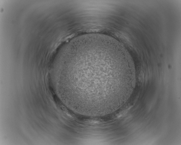 X0000066120743200603171753