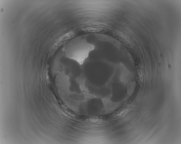 X0000066120745200603171753