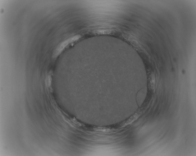 X0000066120746200603171753