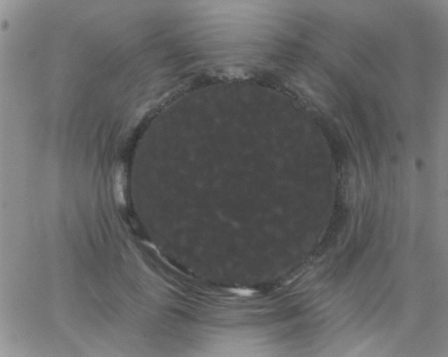 X0000066120747200603171753