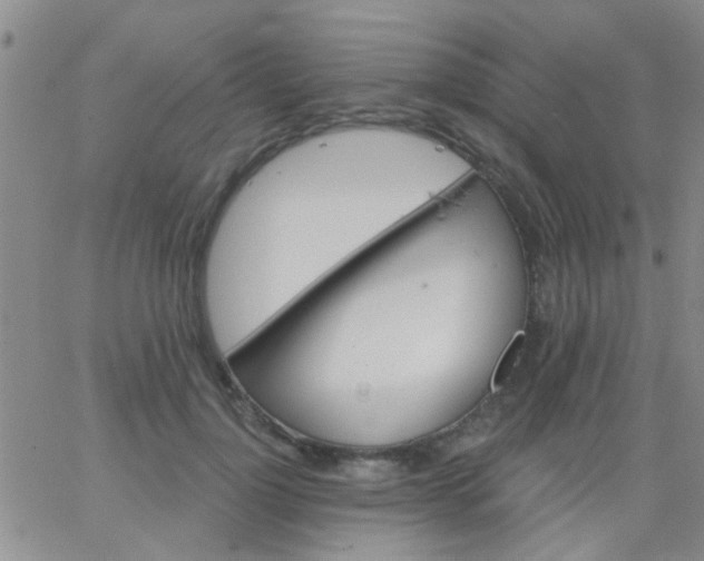 X0000066120748200603171753