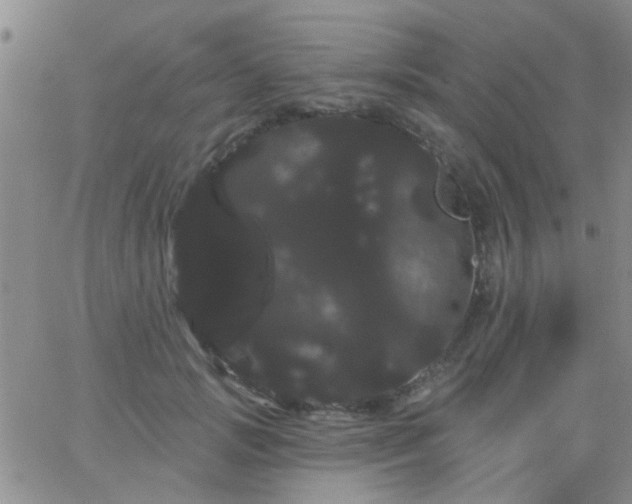 X0000066120749200603171753