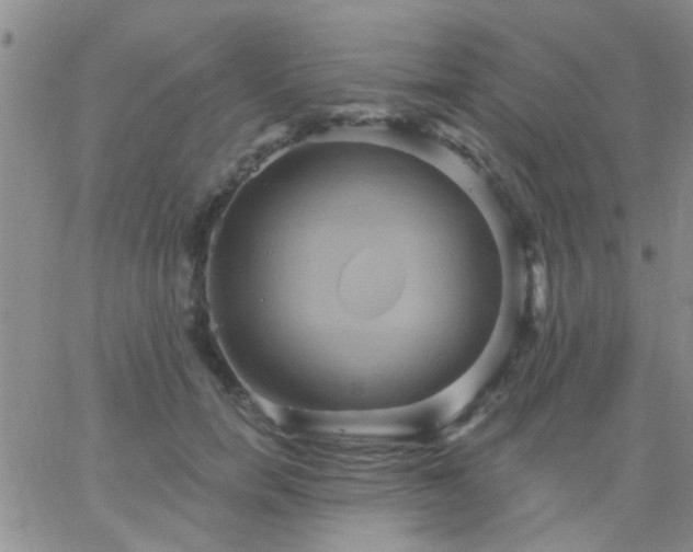 X0000066120750200603171753