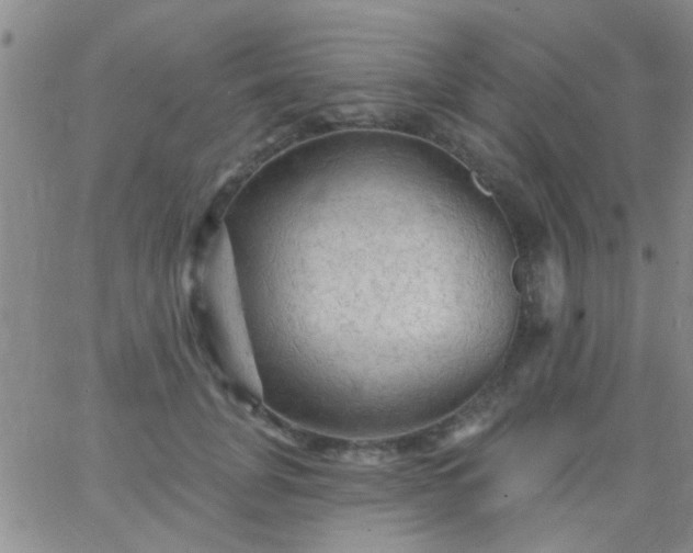 X0000066120751200603171753