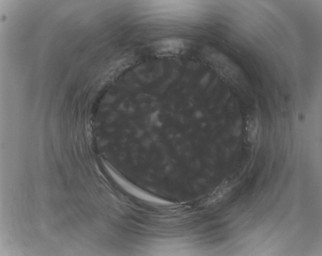 X0000066120753200603171753