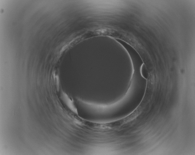 X0000066120754200603171753