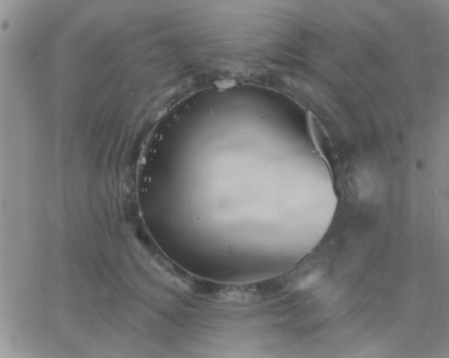 X0000066120756200603171753